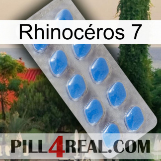 Rhinocéros 7 22